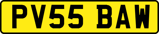PV55BAW