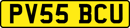 PV55BCU