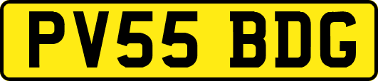 PV55BDG