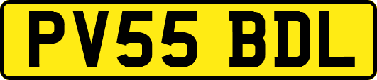 PV55BDL