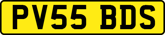 PV55BDS