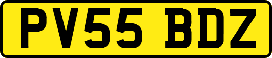 PV55BDZ