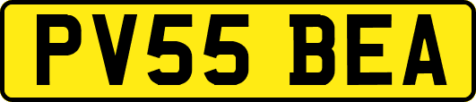 PV55BEA