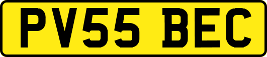 PV55BEC