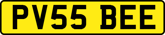 PV55BEE