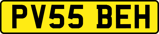 PV55BEH