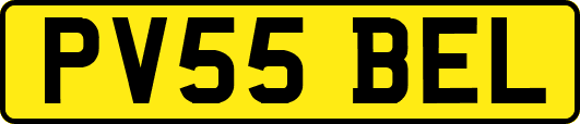 PV55BEL