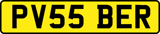 PV55BER