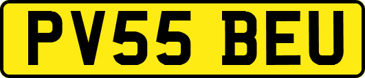 PV55BEU