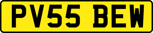 PV55BEW
