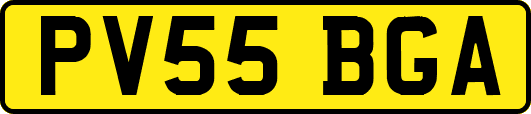 PV55BGA