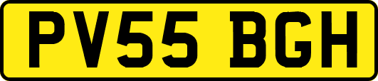 PV55BGH