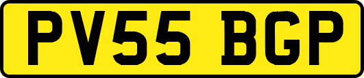 PV55BGP