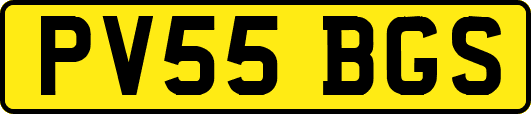 PV55BGS