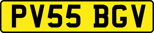 PV55BGV