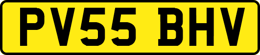 PV55BHV