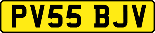 PV55BJV