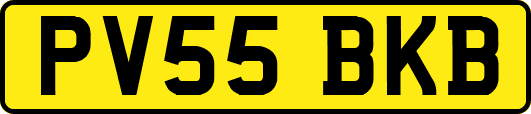 PV55BKB