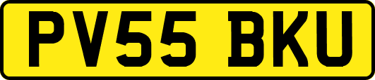 PV55BKU