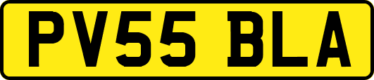 PV55BLA