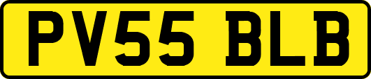 PV55BLB