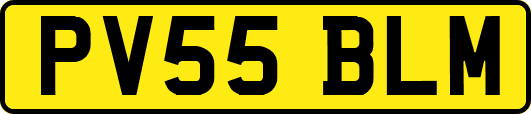 PV55BLM