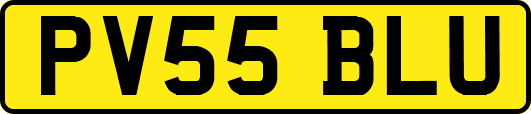PV55BLU