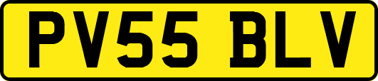 PV55BLV