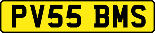 PV55BMS