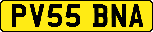 PV55BNA