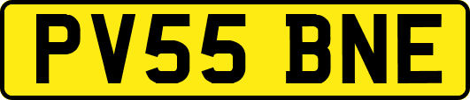 PV55BNE