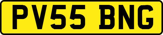 PV55BNG