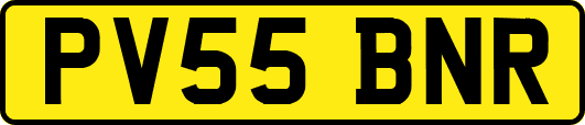 PV55BNR