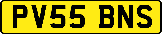 PV55BNS