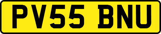 PV55BNU