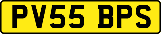 PV55BPS
