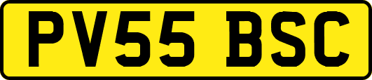PV55BSC