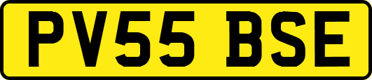 PV55BSE