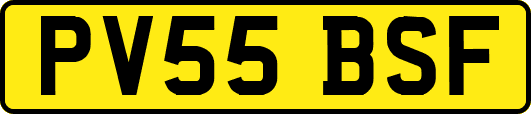 PV55BSF