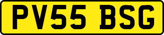 PV55BSG