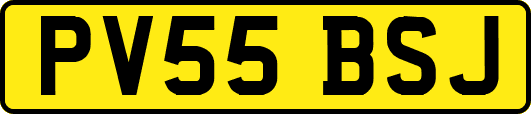 PV55BSJ