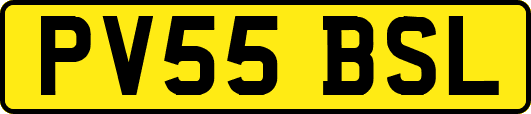 PV55BSL