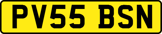 PV55BSN