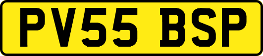 PV55BSP