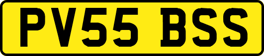 PV55BSS