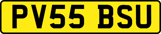 PV55BSU