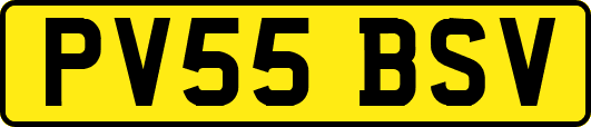 PV55BSV