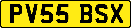 PV55BSX