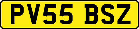 PV55BSZ
