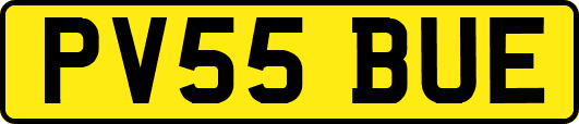 PV55BUE
